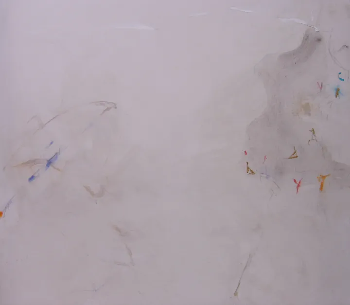 2000 · n. 02