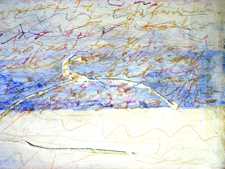 2000 · n. 03