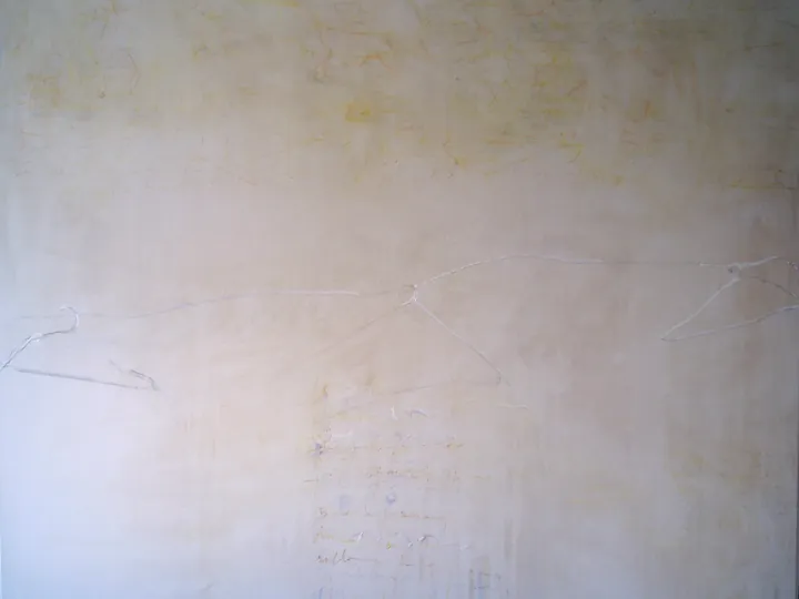 2003 · n. 02