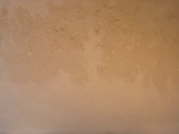 2003 · n. 04