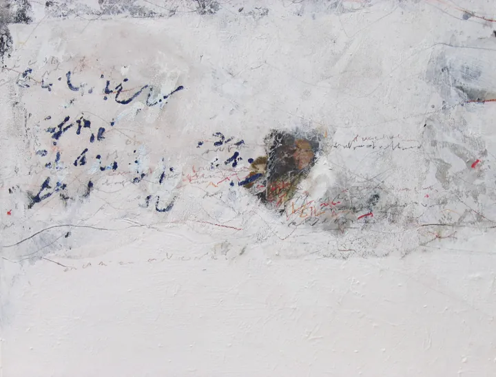 2008 · n. 05