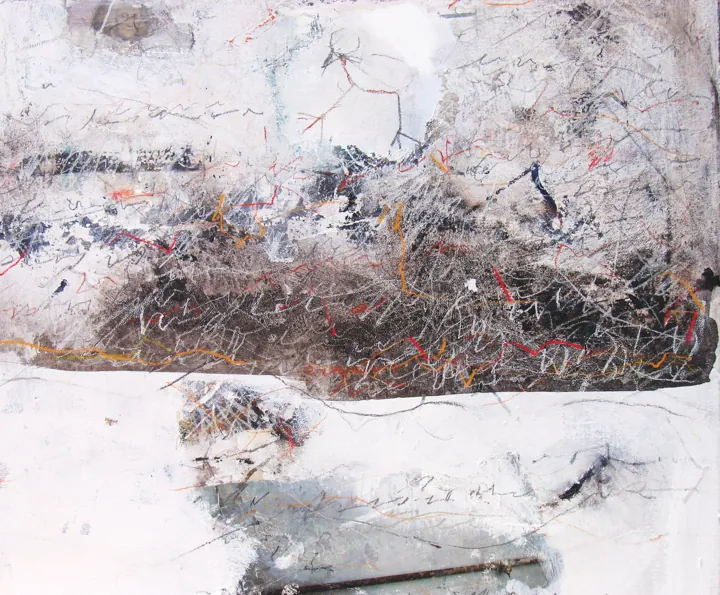 2008 · n. 06