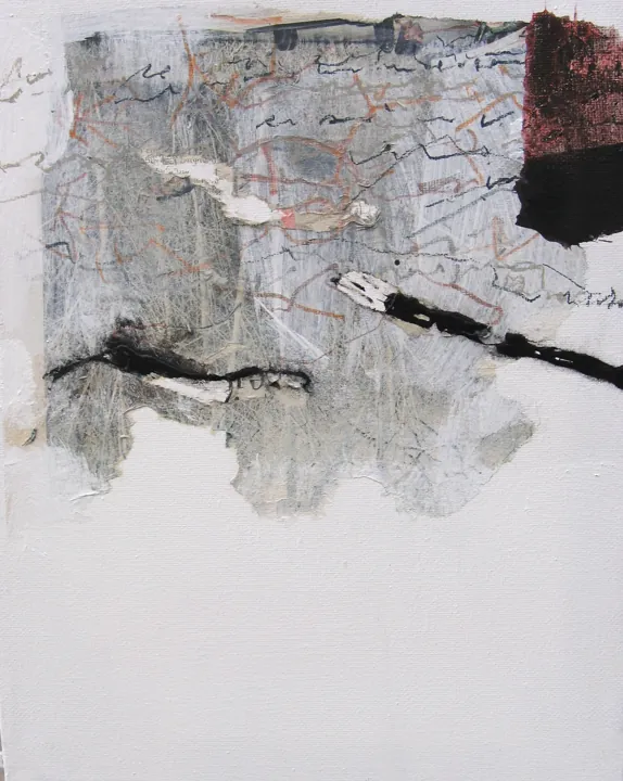 2008 · n. 11