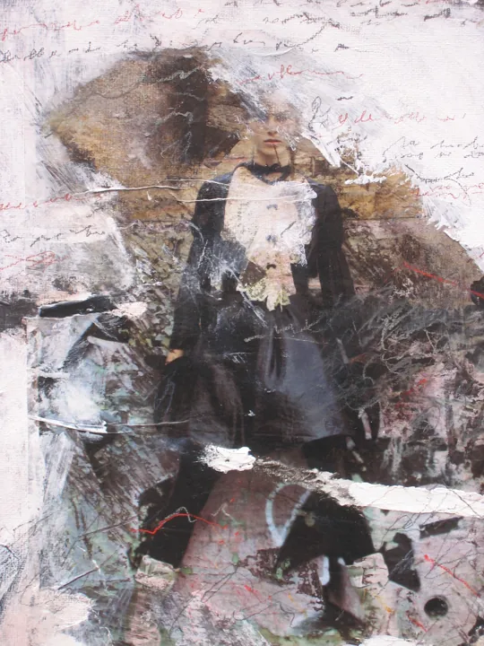 2008 · n. 14