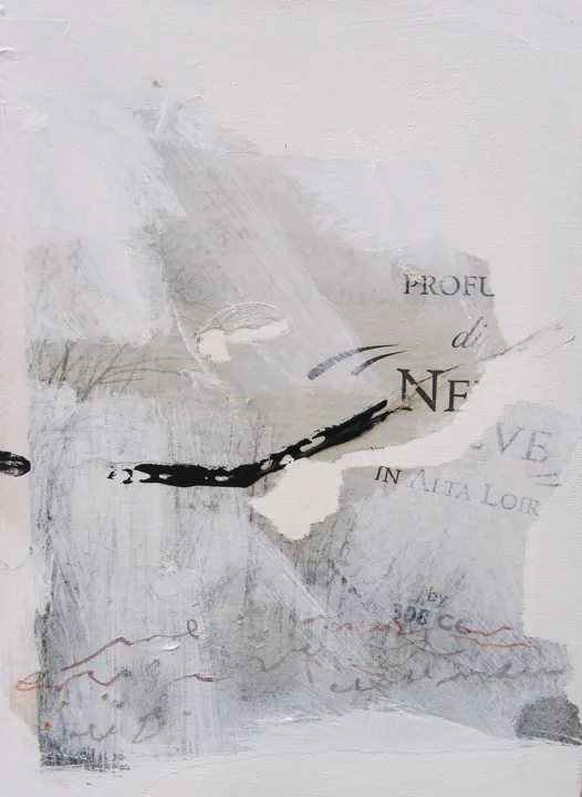 2008 · n. 15