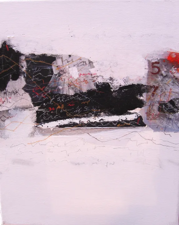 2008 · n. 17