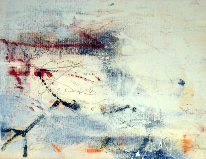 2008 · n. 20